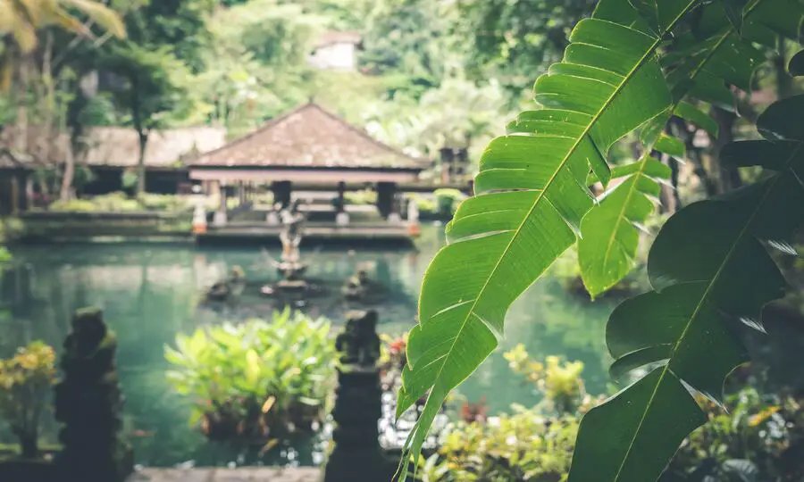 Bali Deluxe Package